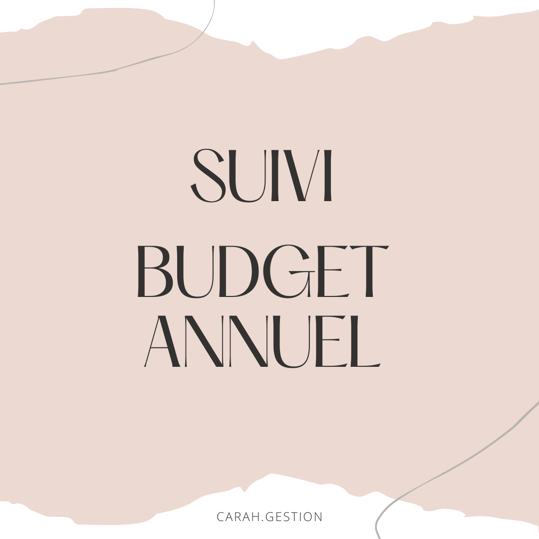 Suivi Budget 12 Mois